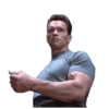 TERMINATOR T-800 19