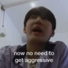 Stray Kids 24