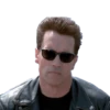 TERMINATOR T-800 20