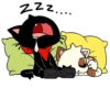 Gamercat 27