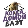 ТАК БЛЭТ 19