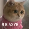 @hatersgoNNahateee 🐒 — 27