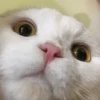 @hatersgoNNahateee 🐒 — 28