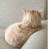 @hatersgoNNahateee 🐒 — 29