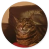 Stupid cats 27