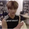 StrayKids 5