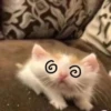 Стикеры тYт: 5
