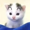 Стикеры тYт: 6
