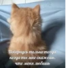 стикеры ➡️ 5