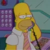 Simpsons2 12