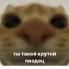 стикеры ➡️ 7