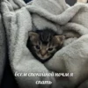 стикеры ➡️ 8