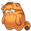 Sanjar stickers — 8