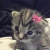 Стикеры тYт: 9