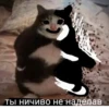 это конец.. 👍 6