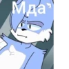 Присца 11