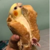 Theonlyoptionismurder 10