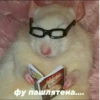 это конец.. 👍 9