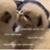 стикеры ➡️ 12