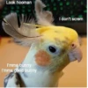 Theonlyoptionismurder 11