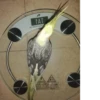 Theonlyoptionismurder 13