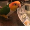 Theonlyoptionismurder 15