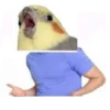 Theonlyoptionismurder 16