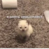 стикеры ➡️ 16