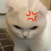 Стикеры тYт: 15