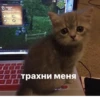 стикеры ➡️ 18