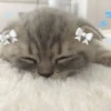 Стикеры тYт: 17
