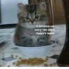 стикеры ➡️ 19