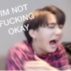 Stray Kids 17