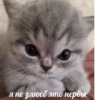 стикеры ➡️ 20