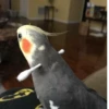 Theonlyoptionismurder 20
