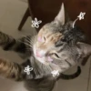 Стикеры тYт: 20