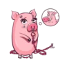 Sexy pig ⬅️🔞 9