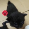 Стикеры тYт: 23