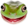 The Kappa Club 23