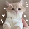 Стикеры тYт: 25