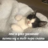 стикеры ➡️ 26
