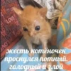 стикеры ➡️ 27
