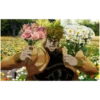 JOJO 25