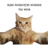 стикеры ➡️ 28