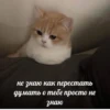 стикеры ➡️ 29