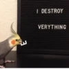Theonlyoptionismurder 27