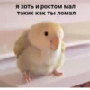 это конец.. 👍 26