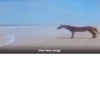 это конец.. 👍 27