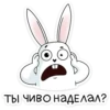 Ты чиво наделал?
