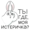 ТЫ ГДЕ Моя ИСТЕРИЧКА?